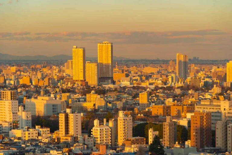 Delay Claim Analysis